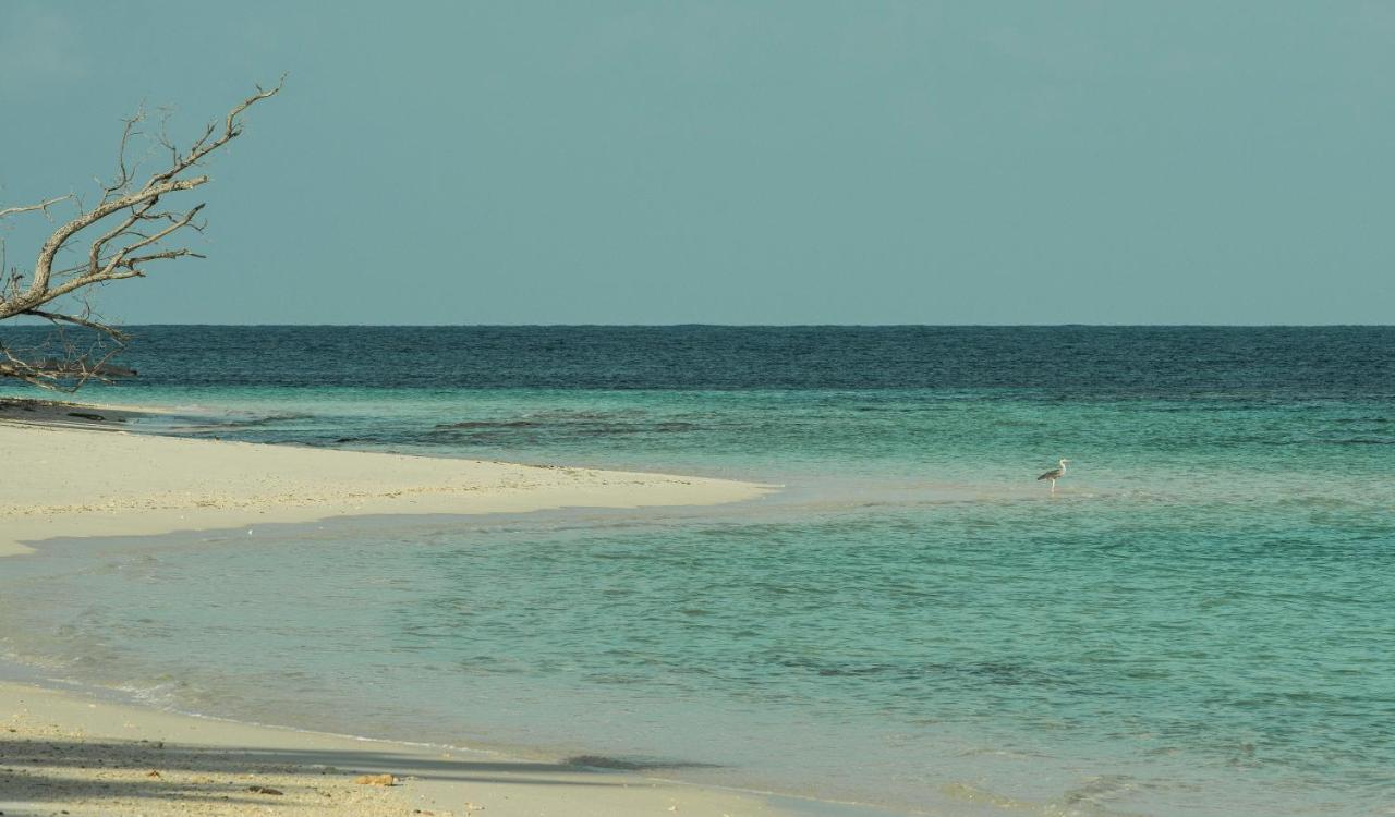 Four Seasons Resort Seychelles At Desroches Island Экстерьер фото